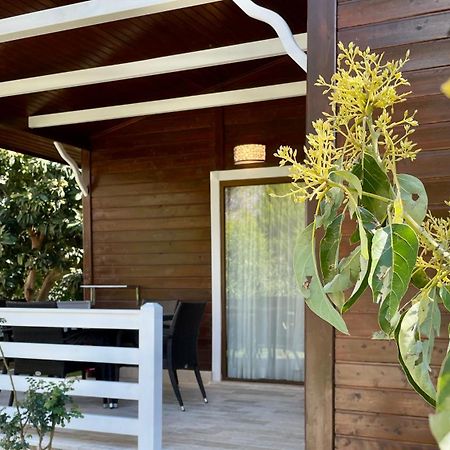 Aida Hotel Çıralı Εξωτερικό φωτογραφία