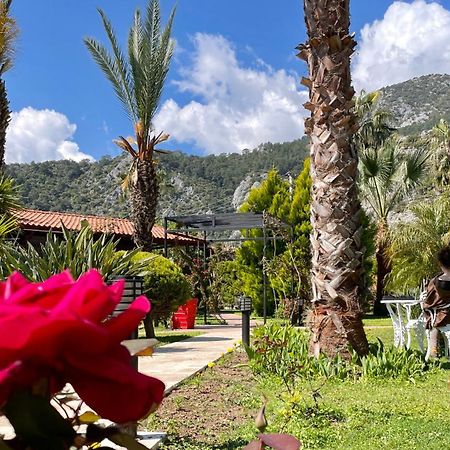 Aida Hotel Çıralı Εξωτερικό φωτογραφία
