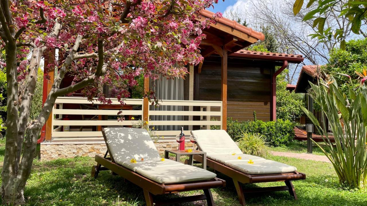 Aida Hotel Çıralı Εξωτερικό φωτογραφία