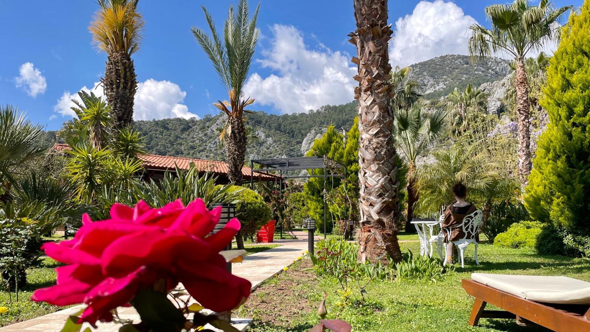 Aida Hotel Çıralı Εξωτερικό φωτογραφία