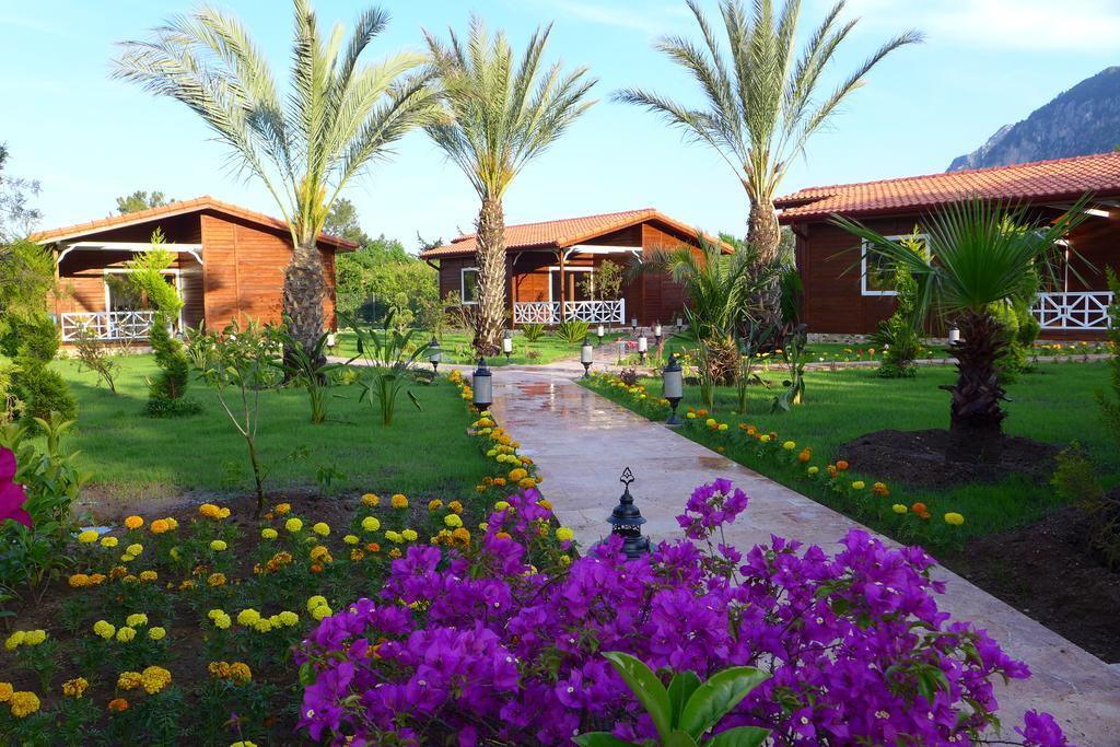 Aida Hotel Çıralı Δωμάτιο φωτογραφία