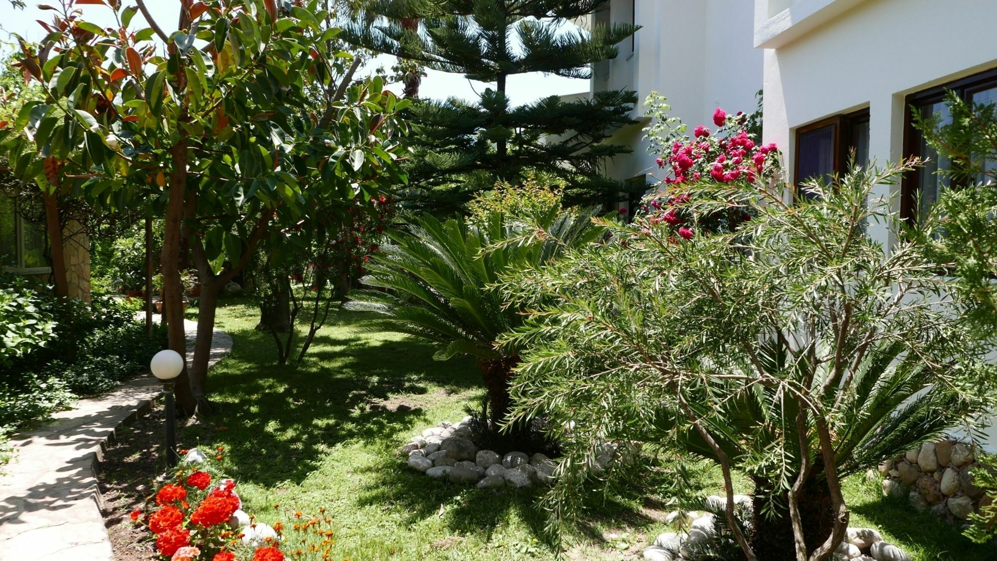 Aida Hotel Çıralı Εξωτερικό φωτογραφία