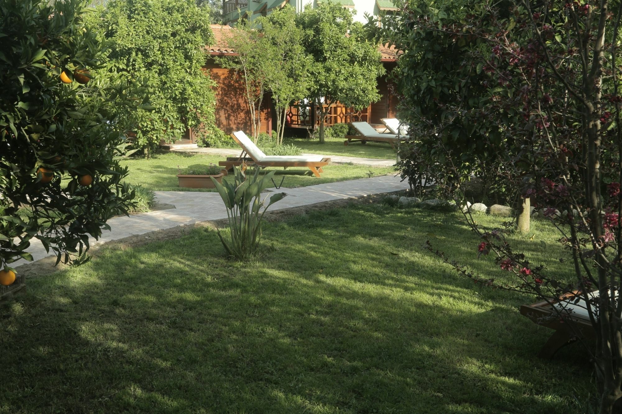 Aida Hotel Çıralı Εξωτερικό φωτογραφία